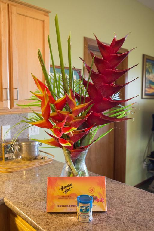 Aloha Aku Inn & Suites Kihei Oda fotoğraf