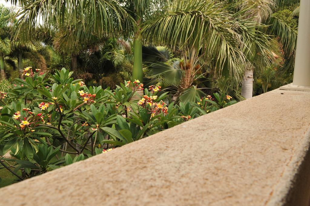 Aloha Aku Inn & Suites Kihei Oda fotoğraf